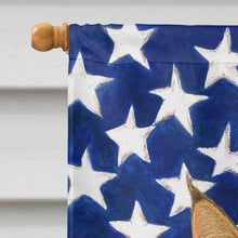 Load image into Gallery viewer, MainCoon Brown Tabby Cat American House Flag
