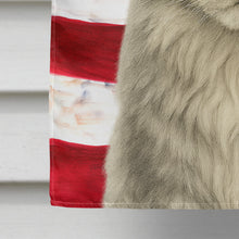 Load image into Gallery viewer, MainCoon Silver Tabby Cat American House Flag