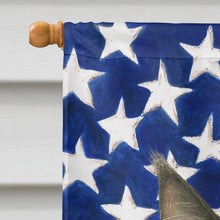 Load image into Gallery viewer, MainCoon Black and White Tabby Cat American House Flag