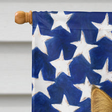 Load image into Gallery viewer, Norwegian Forest Cat Brown Tabby American House Flag