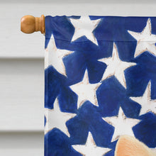 Load image into Gallery viewer, Persian White Cat American House Flag