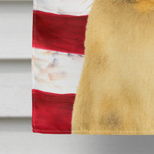 Load image into Gallery viewer, Tortie Point Cat American House Flag