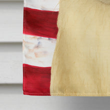 Load image into Gallery viewer, Ragdoll Blue Point Cat American House Flag