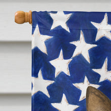 Load image into Gallery viewer, Ragdoll Seal Point Cat American House Flag