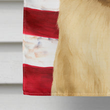 Load image into Gallery viewer, Ragdoll Seal Point Cat American House Flag