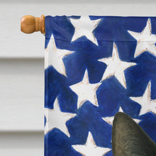Load image into Gallery viewer, Black Cat American House Flag