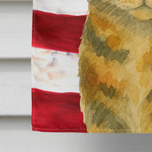 Load image into Gallery viewer, Patched Tabby Cat American House Flag