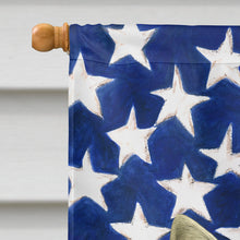 Load image into Gallery viewer, Silver Classic Tabby Cat American House Flag