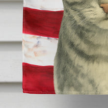 Load image into Gallery viewer, Silver Classic Tabby Cat American House Flag