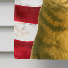 Load image into Gallery viewer, Brown Tabby Cat American House Flag