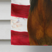 Load image into Gallery viewer, Bay Andalusian Horse American House Flag