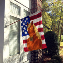 Load image into Gallery viewer, Sorrel Belgian Draft Horse American House Flag
