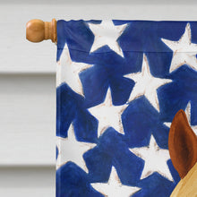 Load image into Gallery viewer, Sorrel Belgian Draft Horse American House Flag