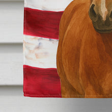 Load image into Gallery viewer, Sorrel Dutch Warmblood Horse American House Flag