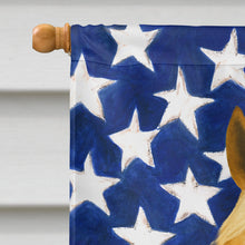 Load image into Gallery viewer, Palomino Missouri Fox Trotter Horse American House Flag