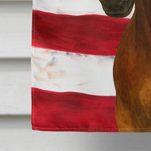 Load image into Gallery viewer, Bay Morgan Horse American House Flag
