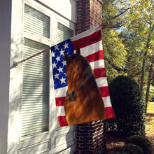 Load image into Gallery viewer, Bay Mustang Horse American House Flag