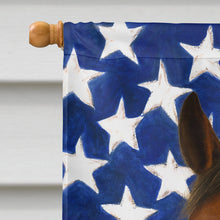 Load image into Gallery viewer, Bay Mustang Horse American House Flag