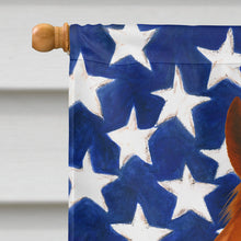 Load image into Gallery viewer, Chestnut Mustang Horse American House Flag