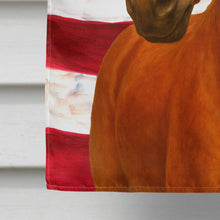 Load image into Gallery viewer, Chestnut Mustang Horse American House Flag