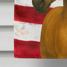 Load image into Gallery viewer, Dun Mustang Horse American House Flag