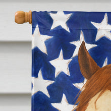 Load image into Gallery viewer, Chestnut Overo Paint Horse American House Flag