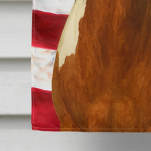 Load image into Gallery viewer, Overo Paint Horse American House Flag