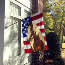 Load image into Gallery viewer, Tovero Paint Horse American House Flag
