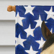 Load image into Gallery viewer, Tovero Paint Horse American House Flag