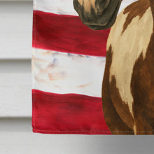 Load image into Gallery viewer, Tovero Paint Horse American House Flag