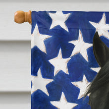 Load image into Gallery viewer, Black Rocky Mountain Horse American House Flag