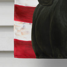 Load image into Gallery viewer, Black Rocky Mountain Horse American House Flag