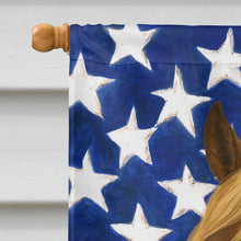 Load image into Gallery viewer, Chocolate Rocky Mountain Horse with Flaxen Mane American House Flag