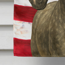 Load image into Gallery viewer, Silver Dapple Rocky Mountain Horse American House Flag