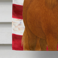 Load image into Gallery viewer, Chestnut Shetland Pony American House Flag