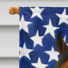 Load image into Gallery viewer, Bay Tennessee Walking Horse American House Flag
