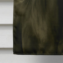 Load image into Gallery viewer, Black Tennessee Walking Horse American House Flag