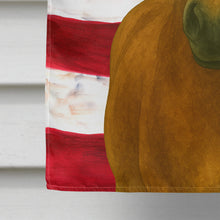 Load image into Gallery viewer, Bay Welsh Pony American House Flag