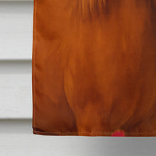 Load image into Gallery viewer, Chestnut Welsh Pony American House Flag