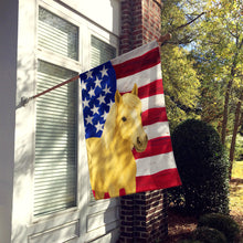 Load image into Gallery viewer, Palomino Welsh Pony American House Flag