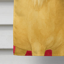 Load image into Gallery viewer, Palomino Welsh Pony American House Flag
