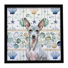 Load image into Gallery viewer, American Hairless Terrier Coastal Sea Glass Framed Metal Print