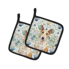 Load image into Gallery viewer, Fawn and White Bull Terrier Coastal Sea Glass Pair of Pot Holders