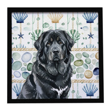 Load image into Gallery viewer, Black Tibetan Mastiff Coastal Sea Glass Framed Metal Print
