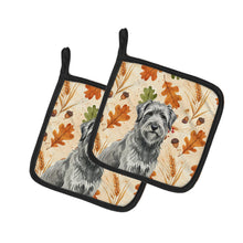 Load image into Gallery viewer, Gray Briard Heirloom Fall Pair of Pot Holders