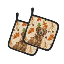 Load image into Gallery viewer, Chesapeake Bay Retriever Heirloom Fall Pair of Pot Holders