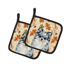 Load image into Gallery viewer, Blue Merle Pomeranian Heirloom Fall Pair of Pot Holders