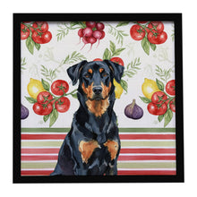 Load image into Gallery viewer, Beauceron Vegetables Framed Metal Print