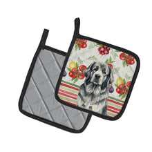 Load image into Gallery viewer, Gray Newfoundland Vegetables Pair of Pot Holders