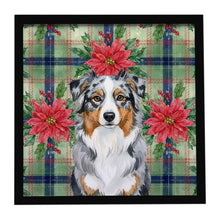 Load image into Gallery viewer, Blue Merle Australian Shepherd Christmas PoinsettIas Framed Metal Print